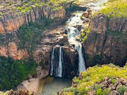 Billedresultat for kakadu n...