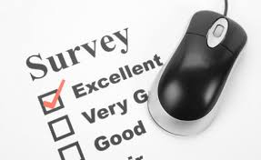 Online Surveys for Money