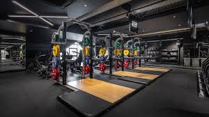 Image result for Hamiltons Fitness Centre, Colchester, Essex