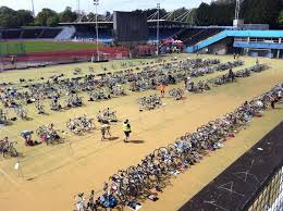 Image result for Crystal Palace Triathletes