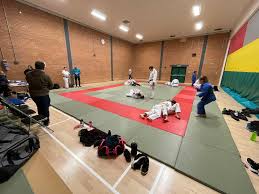 Image result for Beverley Haltemprice Judo Club