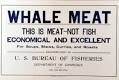 whale meat japan