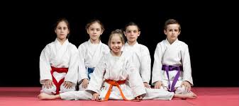 Image result for Mobile Martial Arts Community Interest Company