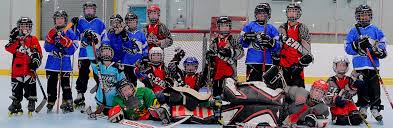 Image result for Halifax Roller Hockey Club
