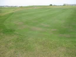 Image result for Tarbat Golf Club