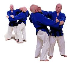 Image result for Bushin Kenpo Kai Schools