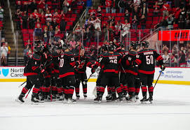 Image result for Arbroath Hurricanes Skater Hockey Club