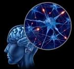 Human Brain Medical Symbol Represented By A Close Up Of Neurons ...