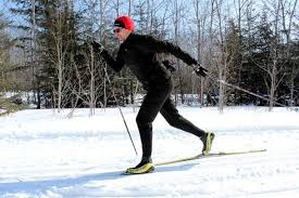 Image result for Lakeland Cross Country Ski Club