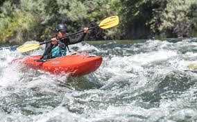 Image result for Wild Water Planet