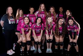 Image result for University Of Birmingham Volleyball Club