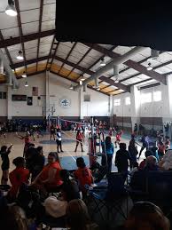 Image result for Chesterfield Cobras Volleyball Club