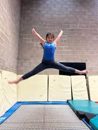 Image result for WALSALL GYMNASTICS CLUB