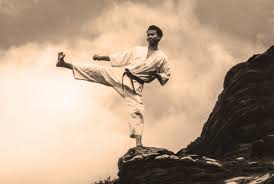 Image result for Twyford Higashi Karate Club