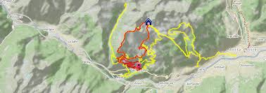 Image result for pheega