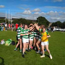 Image result for Sarsfield Gfc