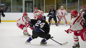 Image result for York University Hockey Club