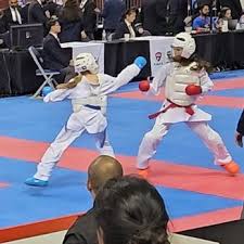 Image result for Su-Ha-Ri-Wado Karate School