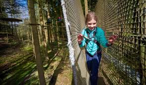 Image result for Go Ape! Alice Holt