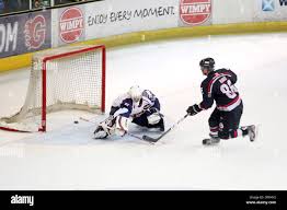 Image result for Basingstoke Bison Ice Hockey Club
