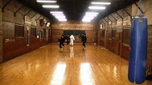 Image result for Kensei Karate Dojo