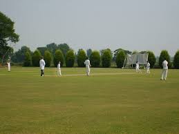 Image result for Brewood Cricket Club