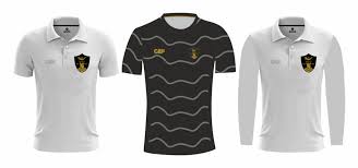 Image result for Caldy Cricket Club