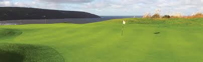 Image result for Cardigan Golf Club