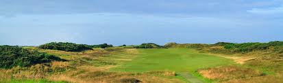 Image result for Solway Links Golf Course