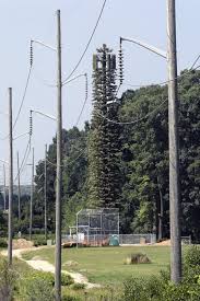 Image result for cell phone tower