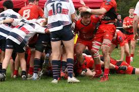 Image result for Rugby Welsh R F C