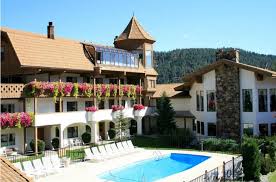 Image result for Enzian