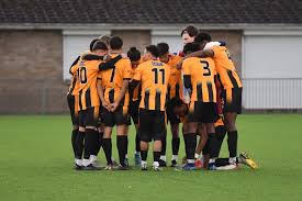 Image result for East Grinstead Town Football Club