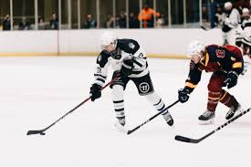 Image result for Haringey Greyhounds Ice Hockey Club