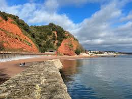 Image result for Dawlish Sc
