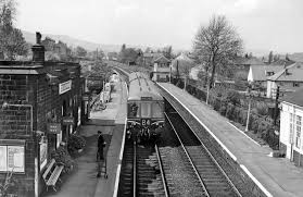 Image result for Ben Rhydding Cc