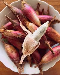 Attēlu rezultāti vaicājumam “Briza media fruit”