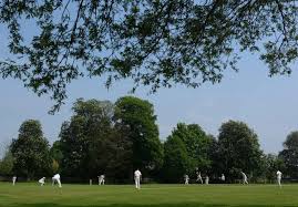 Image result for Whitehaven Cricket Club