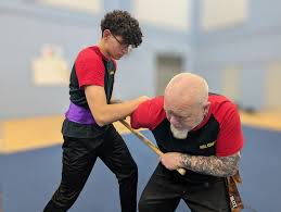 Image result for Hull Kung Fu