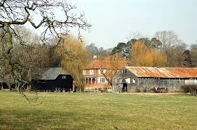 Image result for Braishfield Ultimate