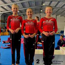 Image result for Lincoln Gymnastics Club