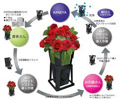 「花薔薇エルフ」の画像検索結果