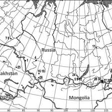 Attēlu rezultāti vaicājumam “Silene wolgensis”