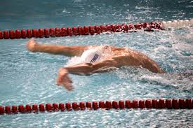 Image result for Hastings Seagulls Swimming Club