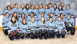 Image result for York University Hockey Club