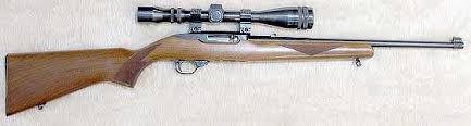 Image result for Bury & District Muzzle Loaders