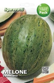Image result for Melone