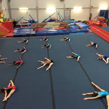 Image result for Haverfordwest Gymnastics Club