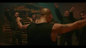 Image result for il_merda.jpg