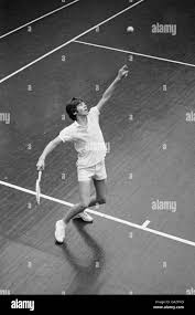 Image result for Shropshire Junior Badminton Club